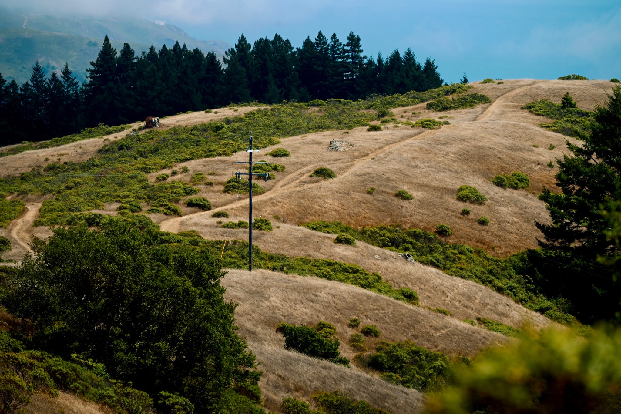 A hilly landscape with dry grass, scattered shrubs, and a dirt path winding through. A lone utility pole stands in the foreground, with a dense line of trees in the background under a partly cloudy sky