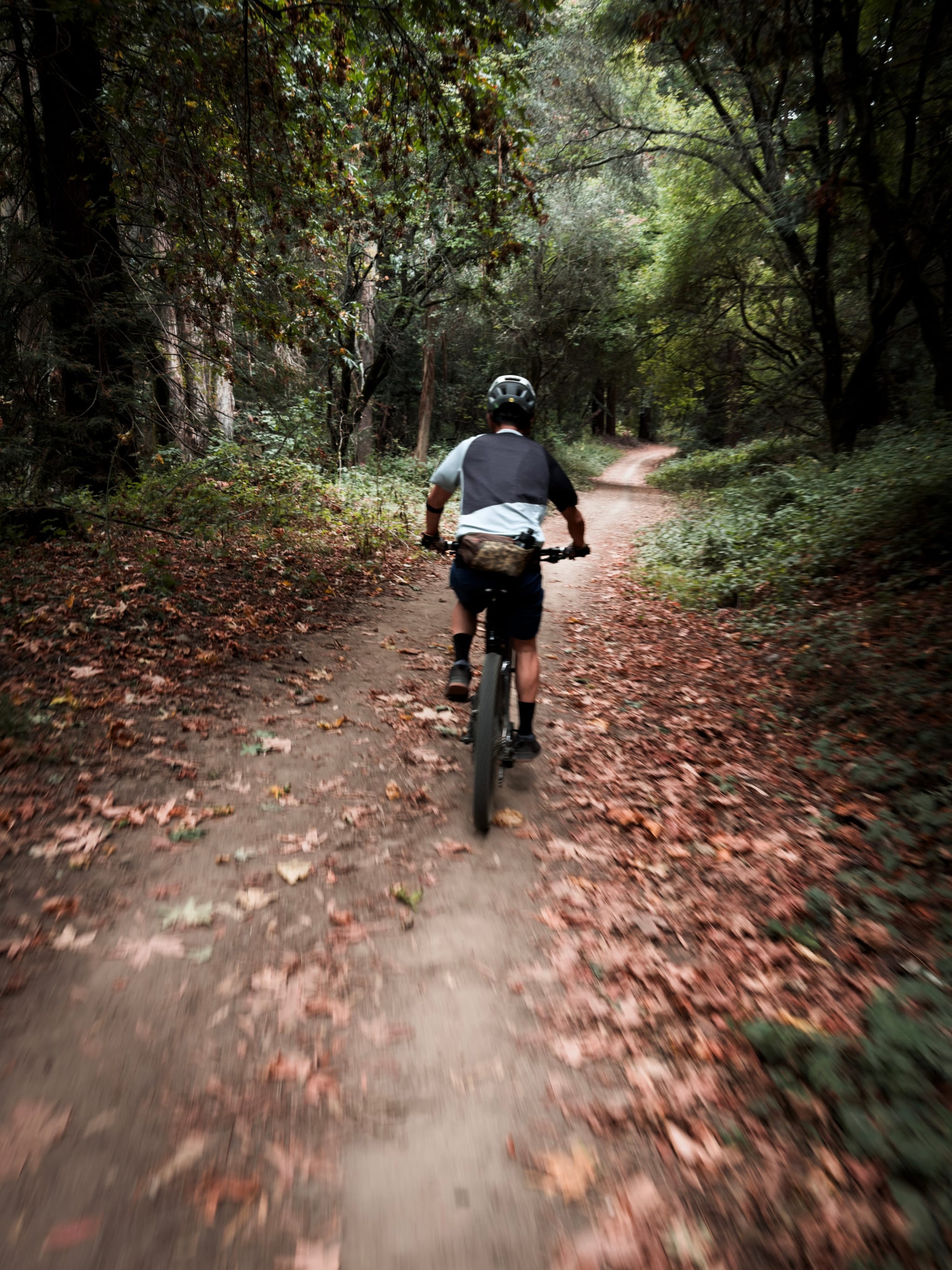 Mountain biker pedaling along a leaf-strewn forest trail, following a winding path under dense trees