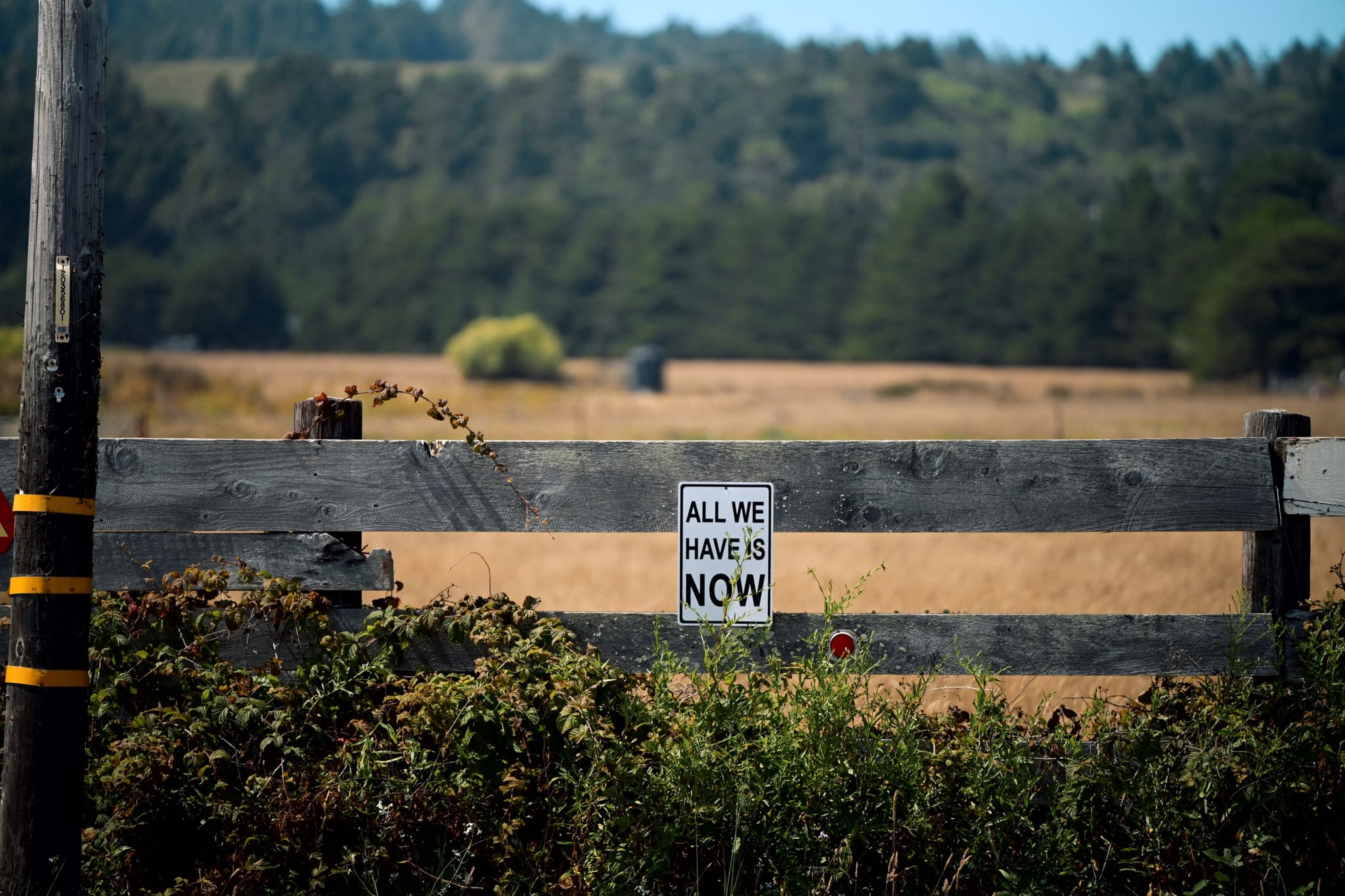A wooden fence with a sign reading ALL WE HAVE IS NOW in a rural landscape, featuring fields and trees in the background