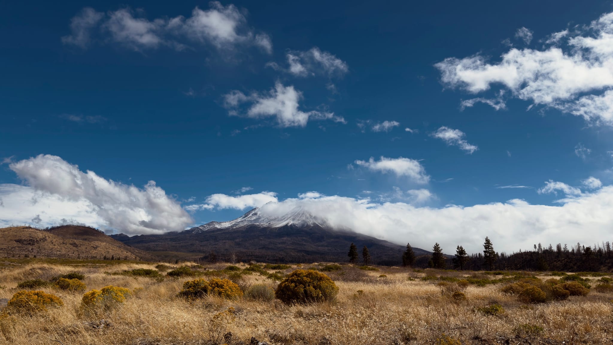 Golden scrubland leading to a cloud-wrapped mountain range and a dark conifer line under a vivid blue sky with scattered clouds