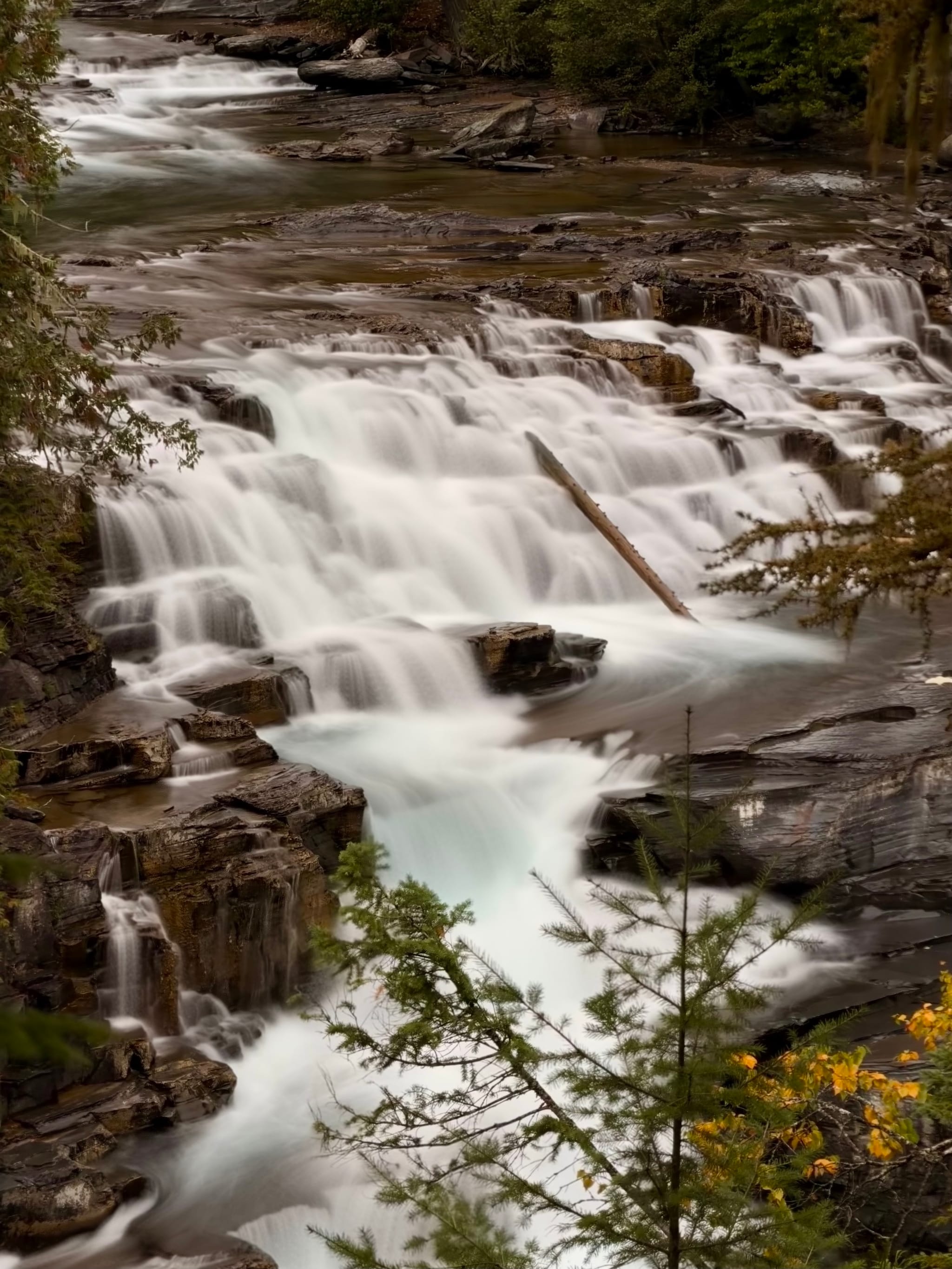 Multi-tiered waterfall cascading over rocky steps in a forest, captured with a silky long exposure; a fallen log crosses part of the flow and autumn foliage frames the scene